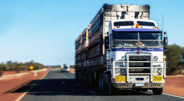 Kenworth Truck Mirrors